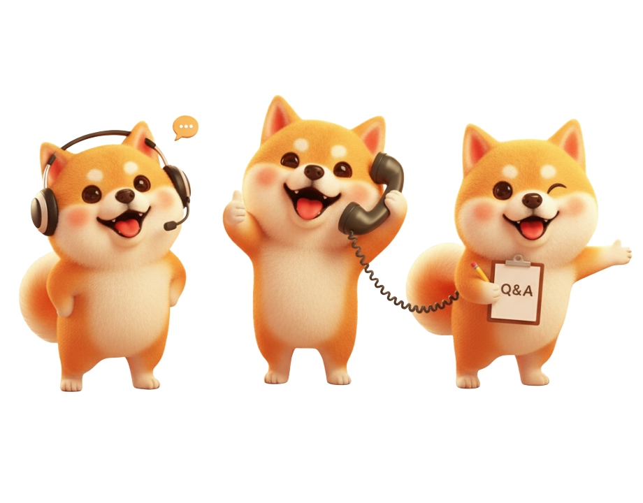 꽁위키 평생 도메인